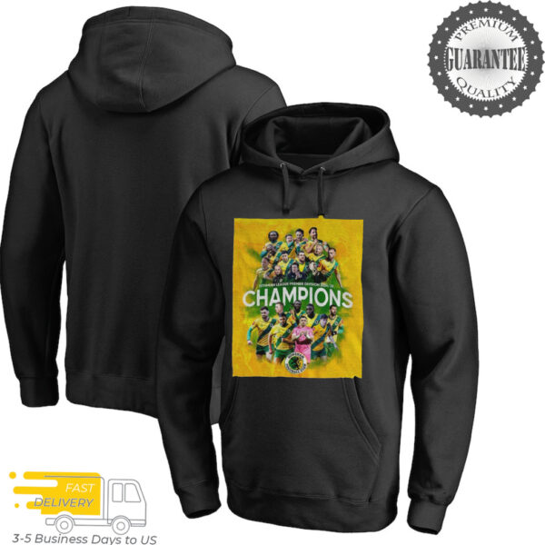 Horsham FC Isthmian league Premier Division 2024 2025 Champions shirt